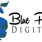 Blue Pear Digital SA