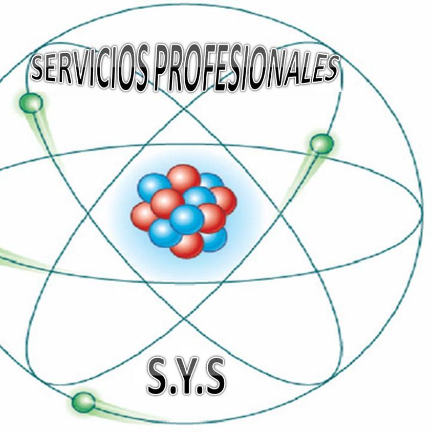 Servicios ProfesionalesSYS