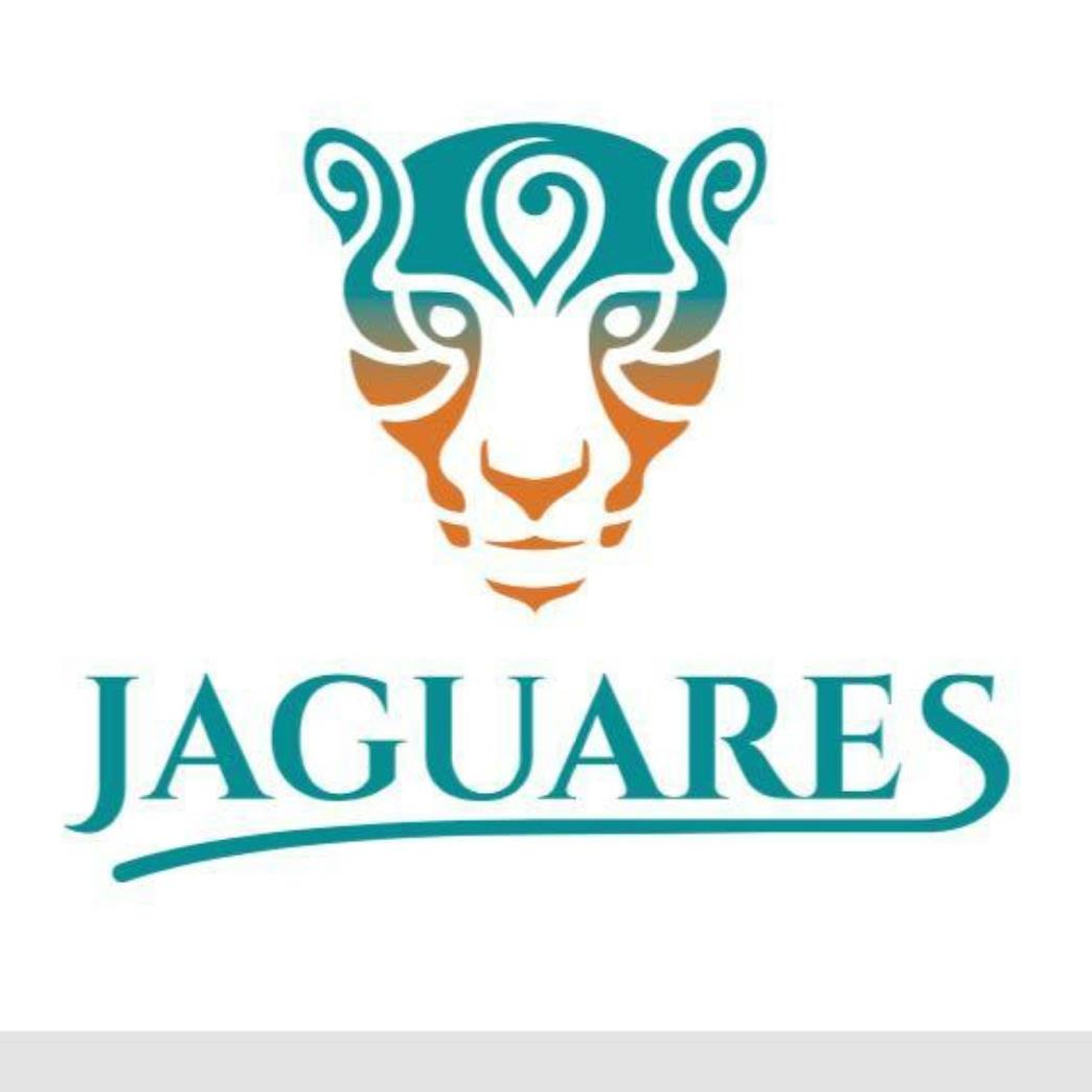 Asociacion Deportiva Artístico Jaguares ASODAJA